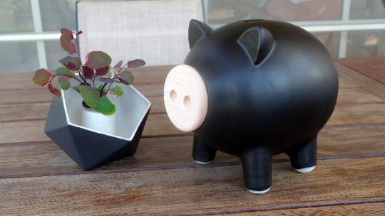 Black Matte Piggy Bank