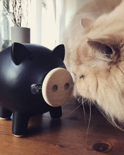 Black Matte Piggy Bank
