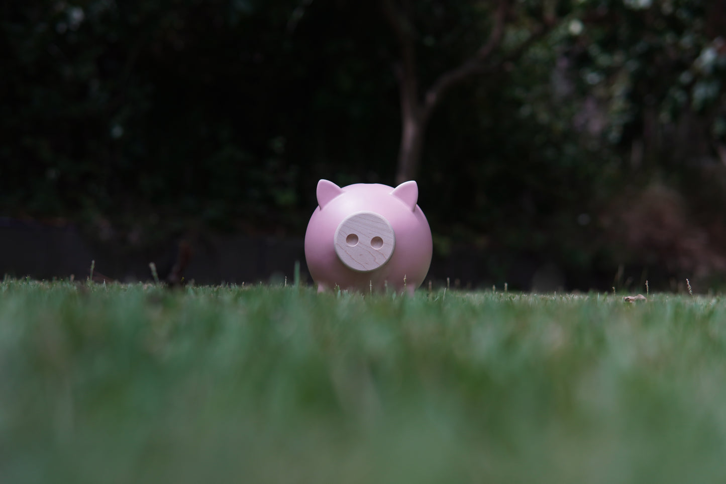 Pink Matte Piggy Bank