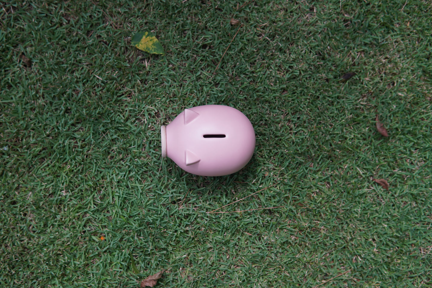 Pink Matte Piggy Bank