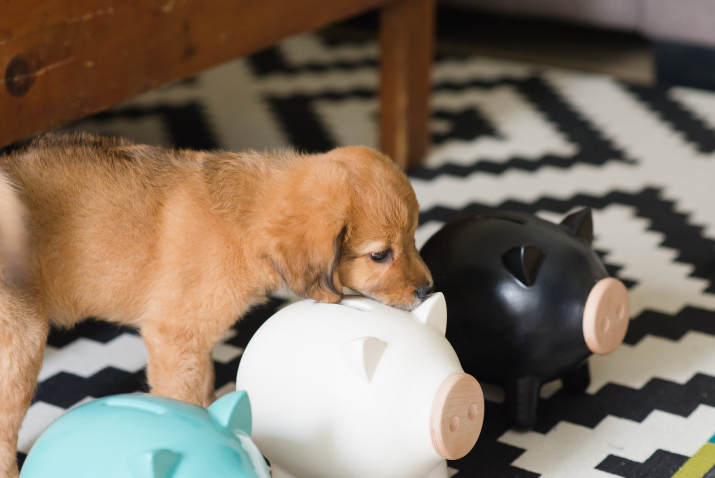 White Matte Piggy Bank
