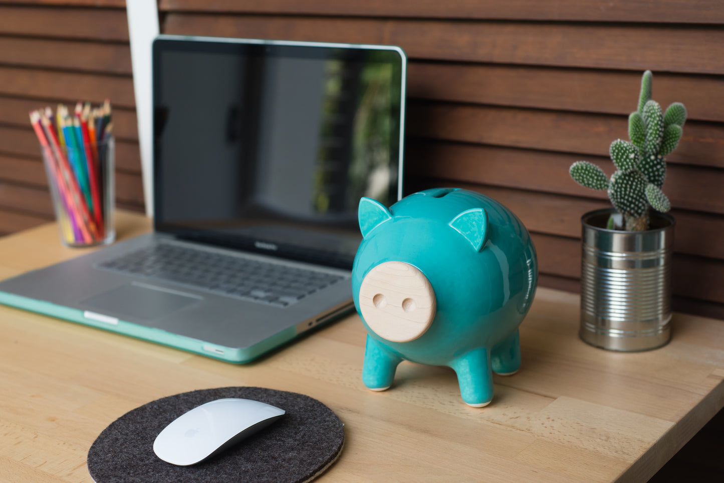 Turquoise Glossy Piggy Bank